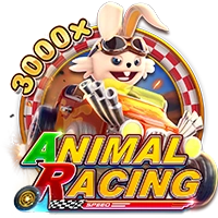 ANIMAL RACING - CAMPSLOT138