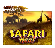 Safari Heat - CAMPSLOT138