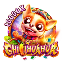 CHILIHUAHUA - CAMPSLOT138