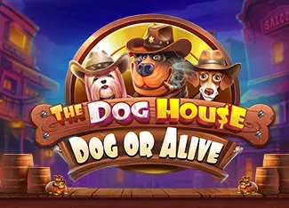 The Dog House - Dog or Alive - CAMPSLOT138