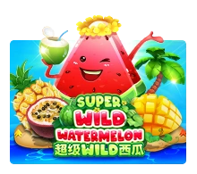 Super Wild Watermelon - CAMPSLOT138