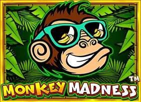 Monkey Madness - CAMPSLOT138