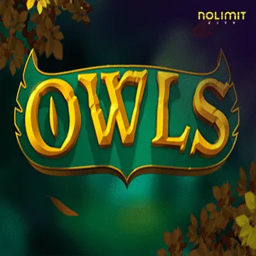 Owls - CAMPSLOT138