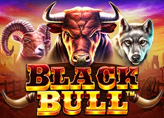 Black Bull - CAMPSLOT138