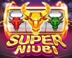 SuperNiubi - CAMPSLOT138