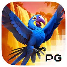 Wings of Iguazu - CAMPSLOT138