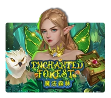 Enchanted Forest - CAMPSLOT138