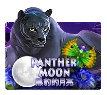 Panther Moon - CAMPSLOT138